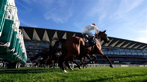 gg.com horse racing tips today|Expert Horse Racing Tips .